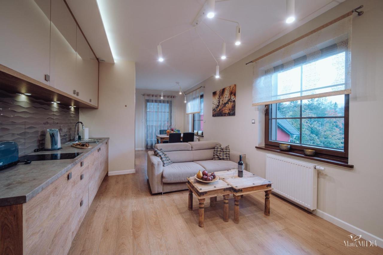 Dolina Wikingow Apartament Oye 13 Szklarska Poreba Dış mekan fotoğraf